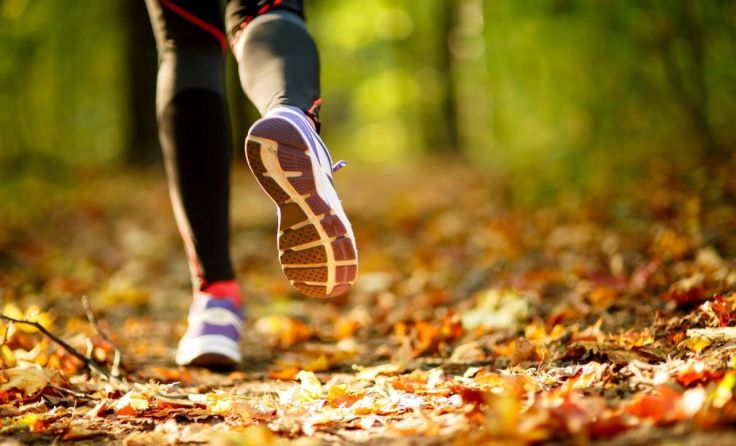 Lauftreff in der Forstheide (Foto: Sergey/stock.adobe.com)