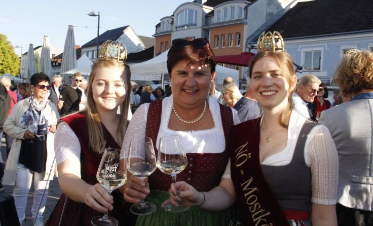  (Foto: Wolfgang Lindorfer/VPAM)