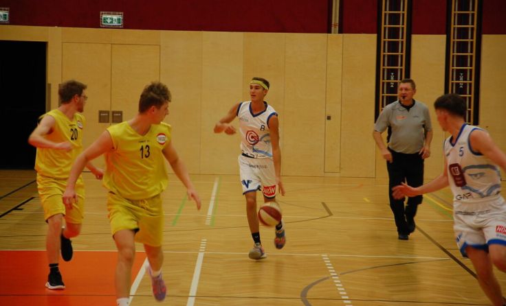  (Foto: Amstetten Falcons)