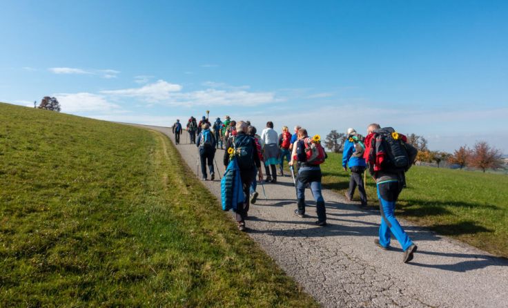  (Foto: Klaus Hinterbuchinger)