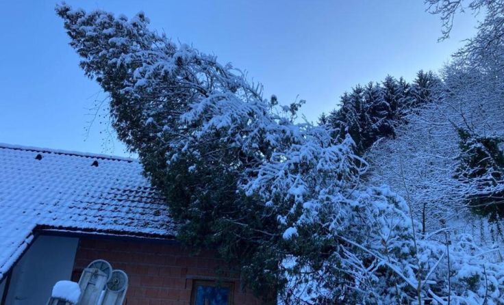  (Foto: Bfkdo Amstetten)