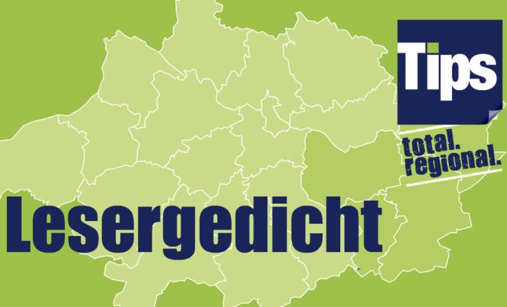  (Foto: Tips GmbH)