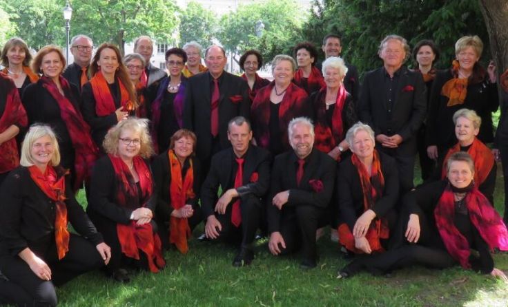 Der Chor Amstetten Vokal (Foto: Amstetten Vokal)