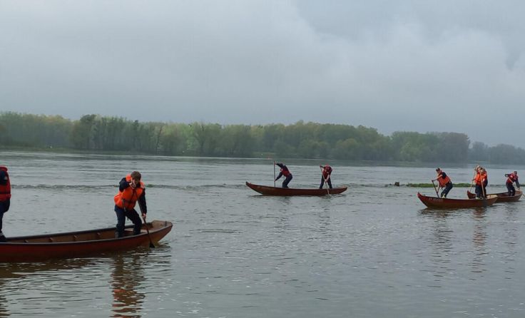 Prüfung an der Donau (Foto: Bfkdo/Zarl)