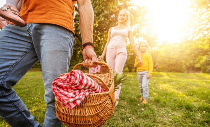 Die Kulturinitiative lädt zum gemütlichen Picknicken ein. (Foto: Sanja_85/stock.adobe.com)