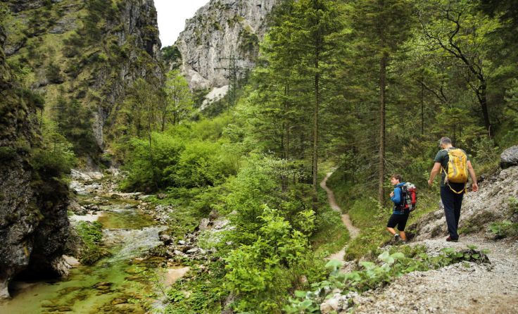 Naturpark Ötscher-Tormäuer (Foto: weinfranz.at)