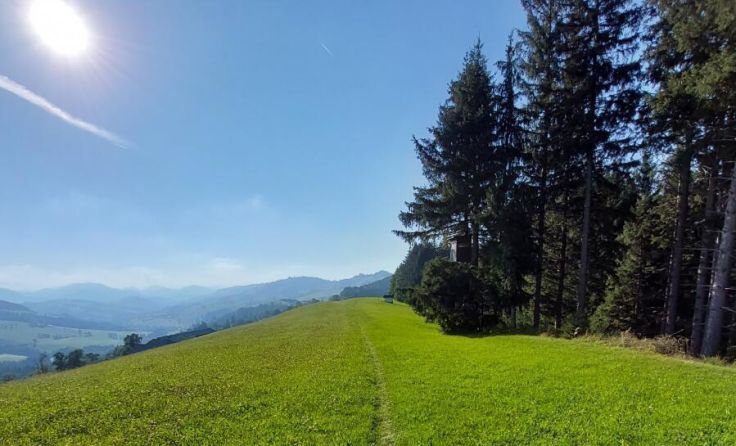 Herrliche Wiesenwege beim Bretterwald (Foto: Caritas)