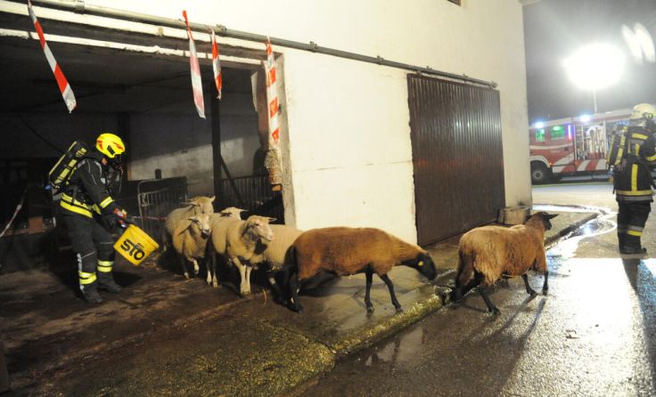 Abschnittsübung in Amstetten (Foto: Wolfgang Zarl)