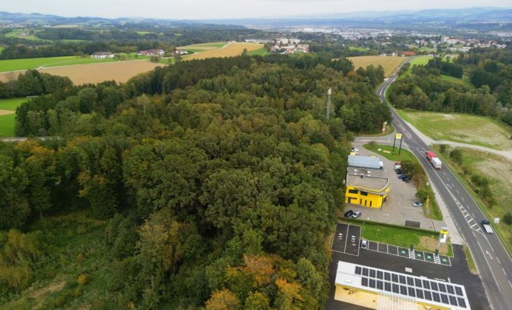 Das Waldstück hinter dem ÖAMTC soll einem WSZ weichen und gerodet werden. (Foto: SPÖ)