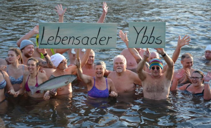 Schwimmen in der eiskalten Ybbs (Foto: mai)