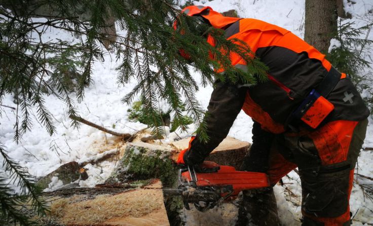  (Foto: Peter Haselmann/stock.adobe.com)