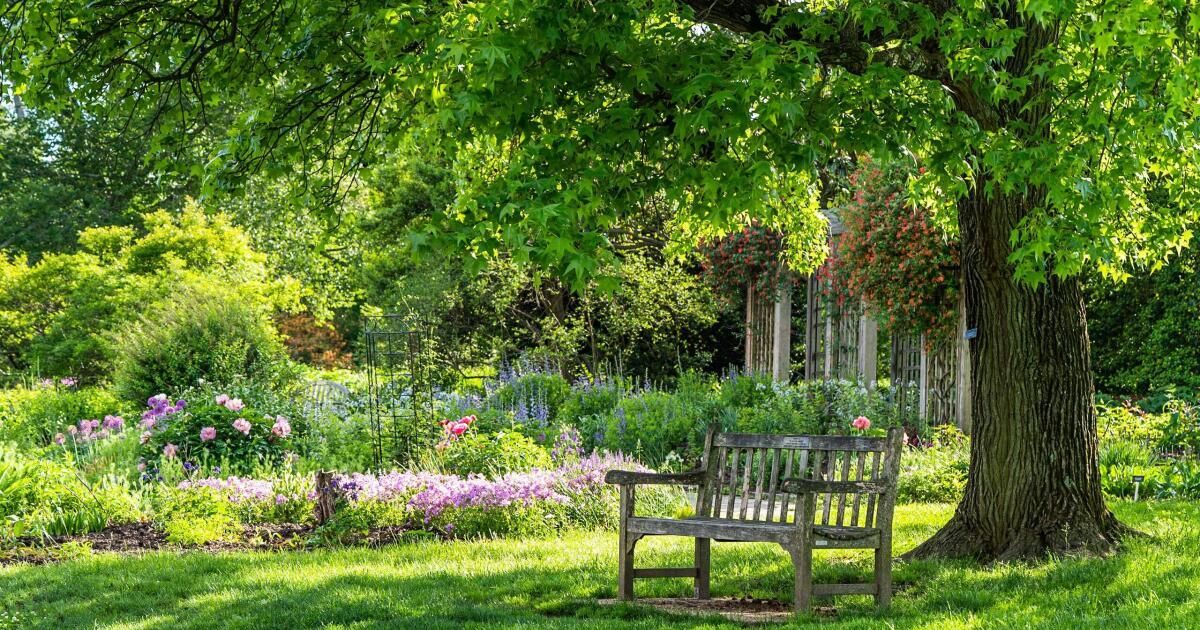 "Natur im Garten"Vortrag in Kematen/Ybbs "Bäume & Sträucher als grüne