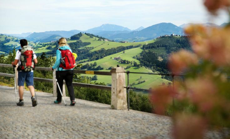 Pilgern am Sonntagberg (Foto: Mostviertel Tourismus/weinfranz.at)