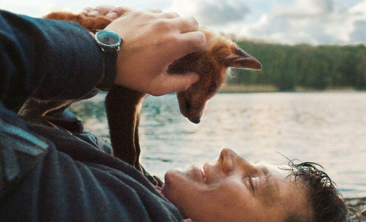 Adrian Goigingers Film "Der Fuchs" ist in Amstetten zu sehen. (Foto: Pandafilm Filmverleih)