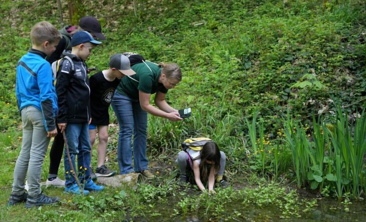 Pfadfinder bei der City Nature Challenge 2024 (Foto: Mag. Norbert Helm)