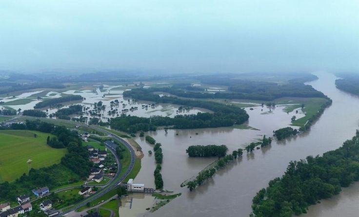Donauau bei Ardagger - Bilder vom 4. Juni (Foto: Jonas Strobl)