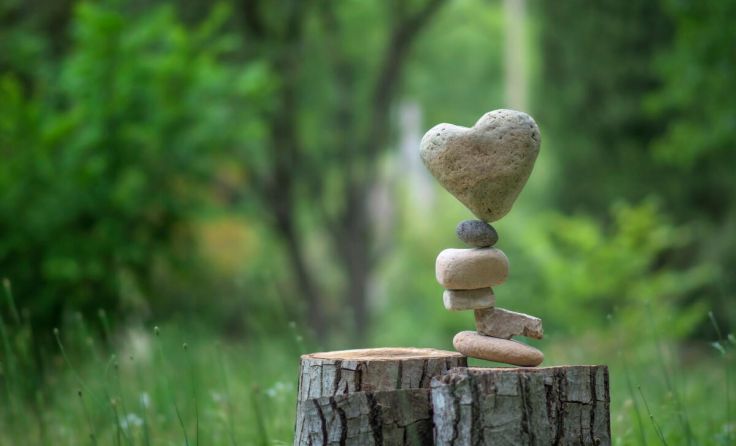 Vortrag in Amstetten: "Innere und äußere Balance finden" (Foto: Cyril/stock.adobe.com)