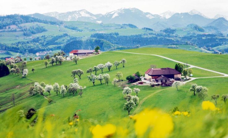 Das Mostviertel in seiner ganzen Pracht (Foto: Mostviertel Tourismus / weinfranz.at)
