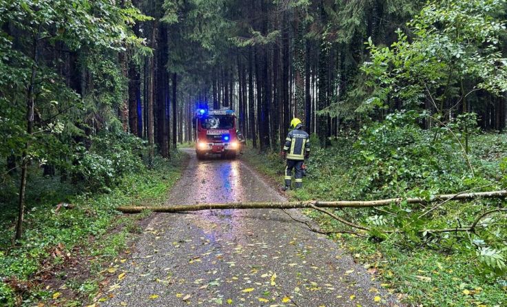 Zahlreiche umgestürzte Bäume (Foto: Bezirksfeuerwehrkommando Amstetten)