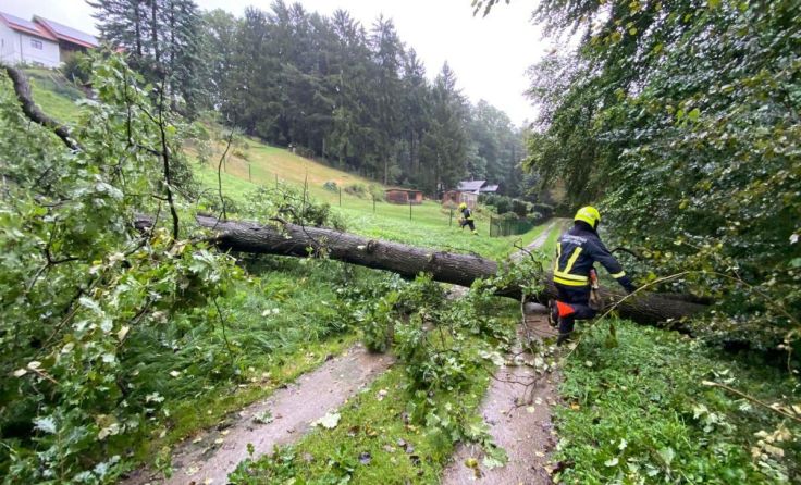 Einsatz in Amstetten (Foto: Abschnittsfeuerwehrkommando Amstetten)