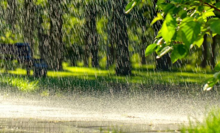 Auf extreme Hitze folgten starke Niederschläge. (Foto: maykal/stock.adobe.com)