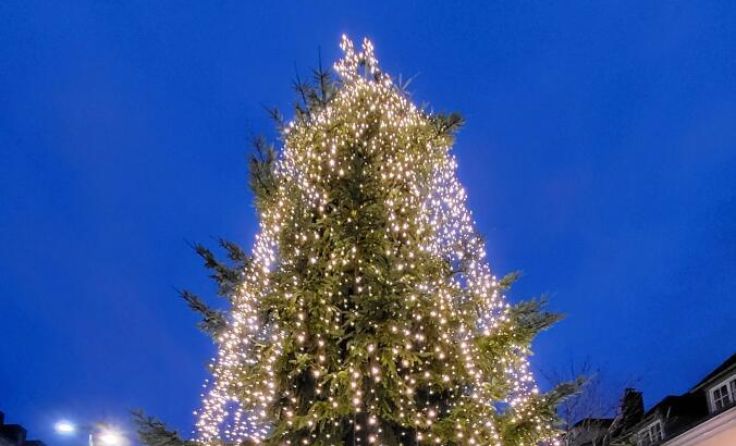 Christbaum am Hauptplatz (Foto: Stadt Amstetten)