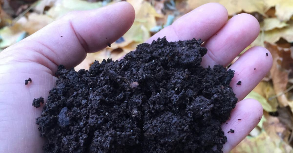"Natur im Garten"Vortrag "Kompost Die Grundlage biologischen Gärtnerns"