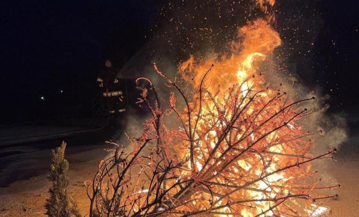 Dürre Christbäume können besonders rasch und heftig abbrennen. (Foto: Wolfgang Zarl)