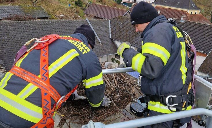 Feuerwehr bereitet Zuhause von Storchenpaar vor (Foto: Bfkdo Amstetten)