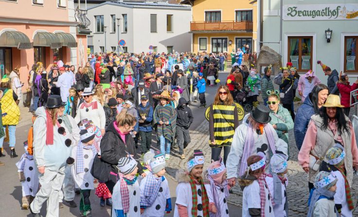 Auf die Besucher wartet ein buntes Faschingstreiben. (Foto: Christoph Staudinger Auwiesenweg)