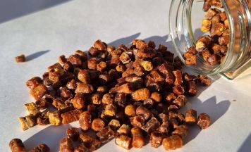 Imkerverein Sankt Marien/Niederneukirchen lädt zu Vortrag über Bienenbrot