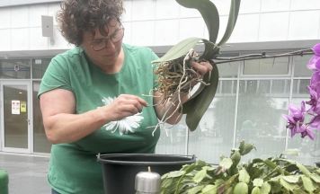 Repair Café Leonding stärkt Nachhaltigkeit in der Region