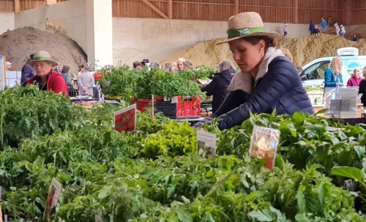 Pflanzerlmarkt in der Kompostanlage Huemer in Alberndorf (Foto: Huemer Kompost)