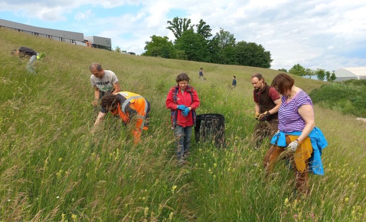 Freiwillige Helfer beim Einsatz gegen invasive Pflanzen (Foto: Naturschutzbund Oberösterreich)