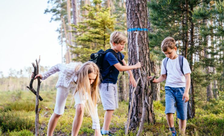 Kinder entdecken den Wald. (Foto: Iryna Inshyna/stock.adobe.com)