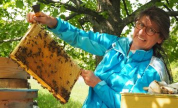 Einblicke in die Welt der Bienen in Niederneukirchen