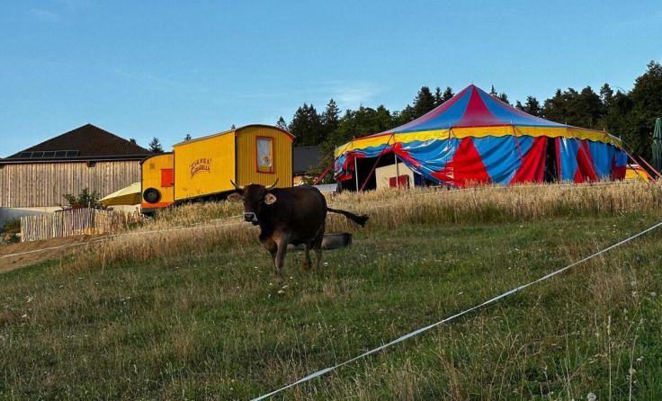Der Circus n’Cheese Biohof Luftensteiner lädt ins Zirkuszelt ein. (Foto: Iman Lizarazu)