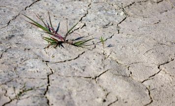Mühlstein-Rallye trotz Waldbrandgefahr: Klima-Allianz fordert Absage