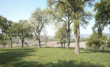 Streuobstwiesen in St. Florian spielerisch entdecken