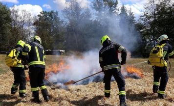 Feuerwehr-Praxislehrgang für Vegetationsbrandbekämpfung in Allerheiligen