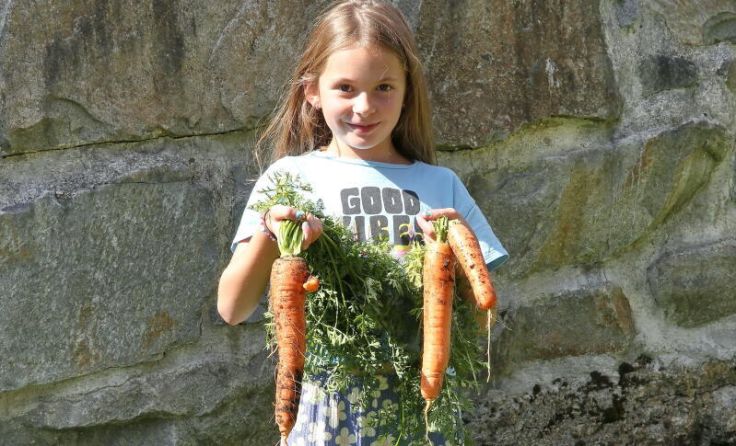 Jana war von der Größe der Karotten aus dem Hochbeet beeindruckt. (Foto: Franz Schneider)