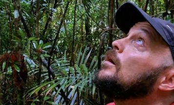 Bücherei Eidenberg/Geng verbindet Thrillerlesung mit Live-Musik