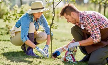 Enns fördert Obstbaum-Kauf für Projekt Essbare Stadt