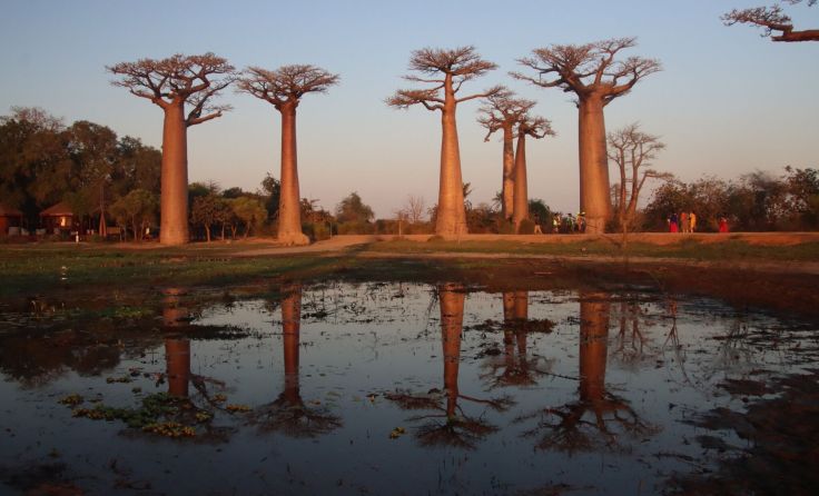 Foto: Roland Feichtinger (Bildrechte: Roland Feichtinger)