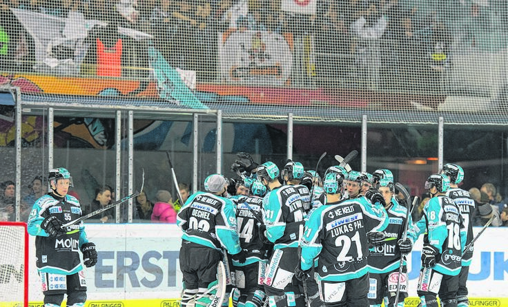 Die Black Wings Spieler feiern den Auswärtssieg gegen Salzburg. Foto: BWL/Eisenbauer