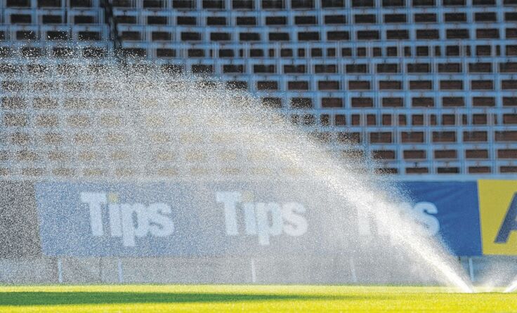 Erfrischenden Fußball wollen die Fans vom Erstliga-Duo sehen. Foto: Meier
