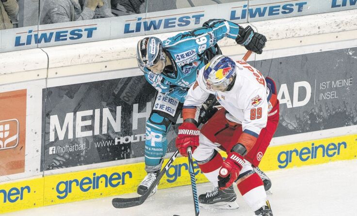 Die Black Wings (hi. Stefan Gaffal) verloren gegen Salzburg. Foto: BWL/Eisenbauer
