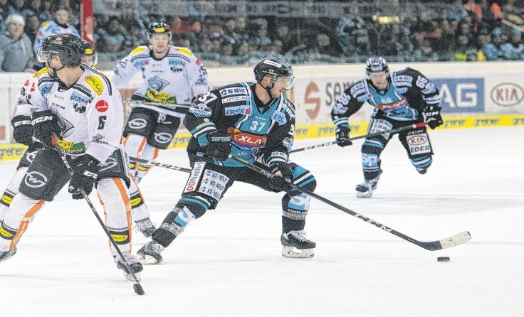 Die Black Wings (vo. Andreas Kristler) besiegten auch Dornbirn. Foto: BWL/Eisenbauer