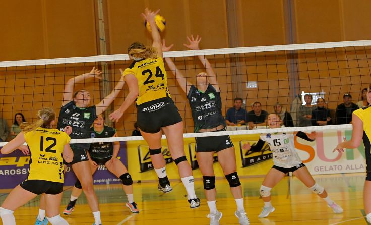 Bereits 15 Punkte Vorsprung auf Meister Graz hat Askö Linz-Steg. Fotos: Askö/Plohe