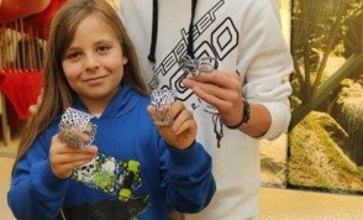 Foto: NÖ Kreativakademien